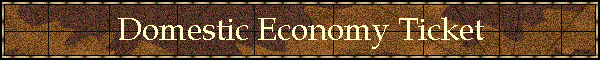 Domestic Economy Ticket